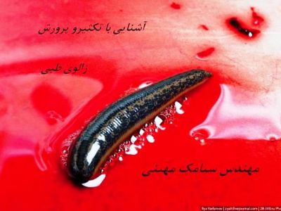 آشنایی با تکثیرو پرورش زالوی طبی( Hirudo Medicinalis)